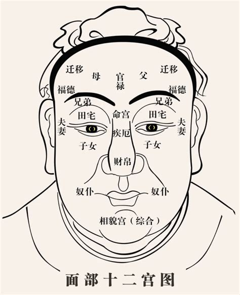 面相分析图